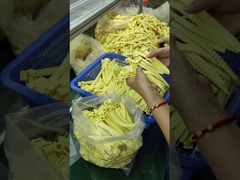 Μέρη από καουτσούκ σιλικόνης